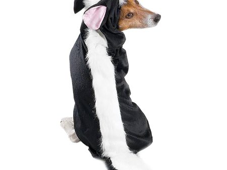 Casual Canine® Little Stinker Dog Costume Sale