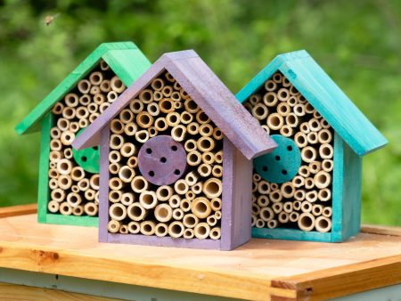 Wooden Mason Bee House For Discount