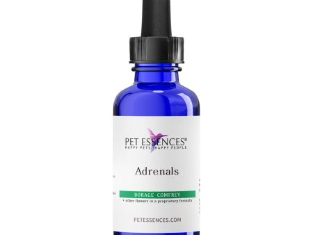 Pet Essences Adrenals for Dogs, Cats, Horses and more For Cheap