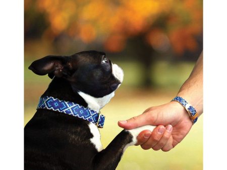 Mucky Pup Friendship Collar & Bracelet Set Hot on Sale