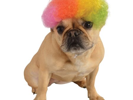 Rainbow Afro Pet Wig Cheap