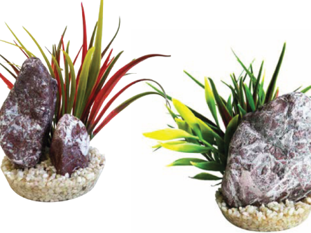 ZEBRA STONE GRASS Online Sale