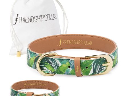 Saint Barkez Friendship Collar & Bracelet Set on Sale