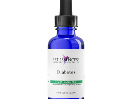 Pet Essences Diabetes for Dogs, Cats, Horses and more Online now