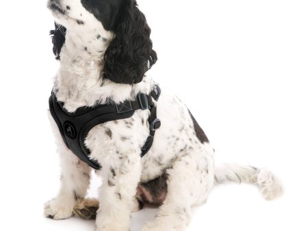 Gooby® Escape Free Dog Sport Harness Online Sale