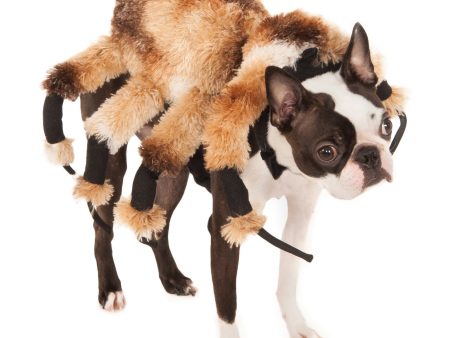 Giant Spider Pet Costume For Discount